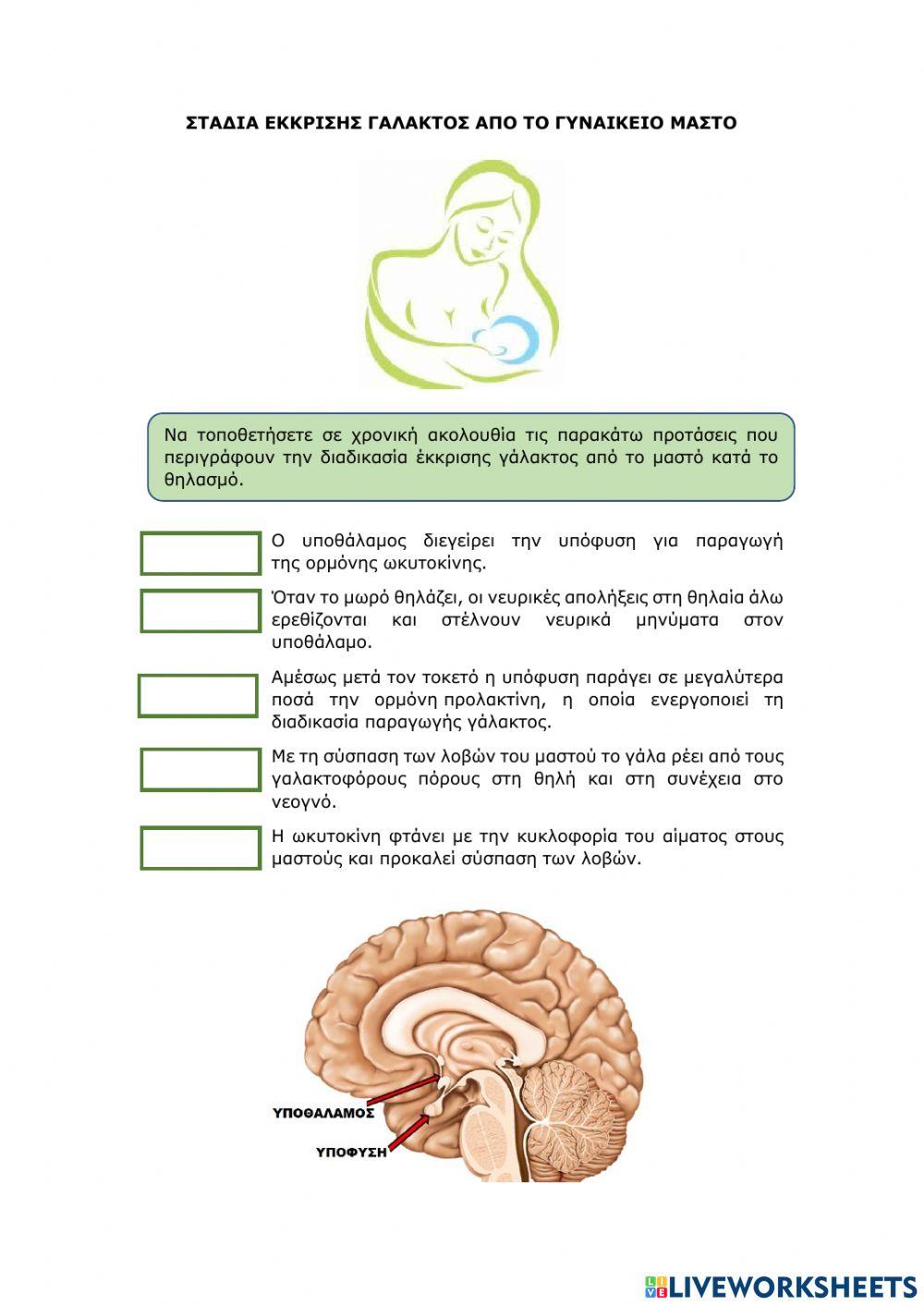 ΣΤΑΔΙΑ ΕΚΚΡΙΣΗΣ ΓΑΛΑΚΤΟΣ ΑΠΟ ΓΥΝΑΙΚΕΙΟ ΜΑΣΤΟ