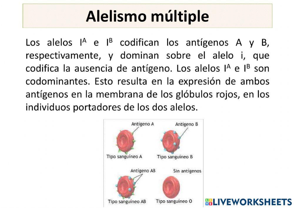 Genética mendeliana teoría 4