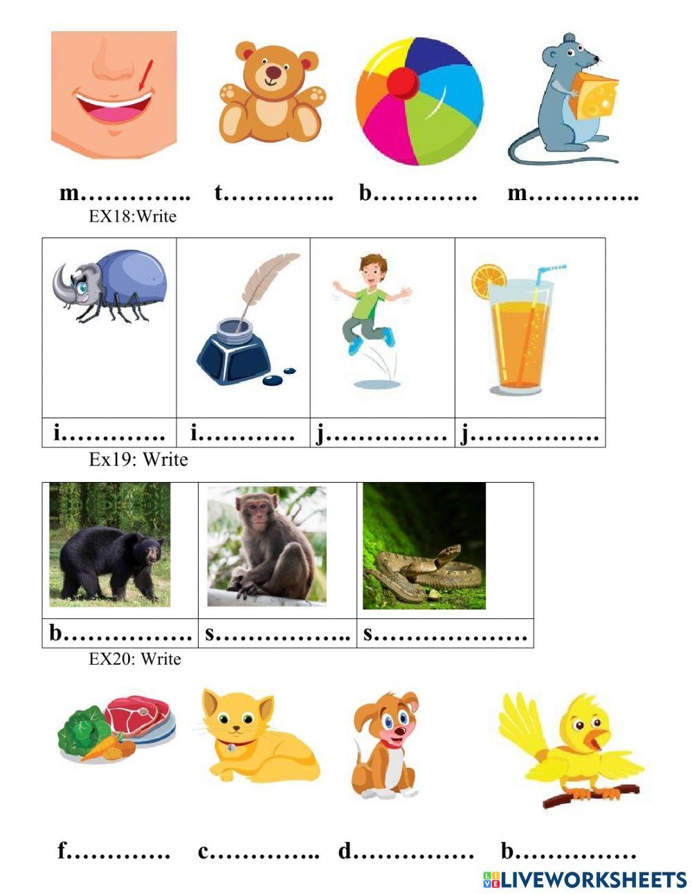Smart start 1 term 2 revision