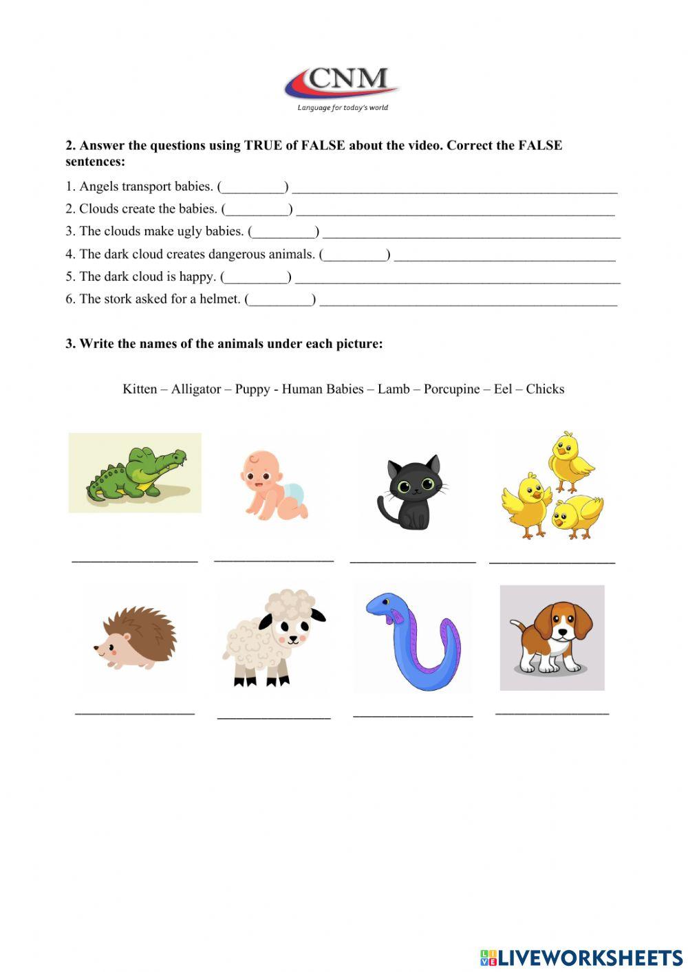 Watching a video: Partly cloudy