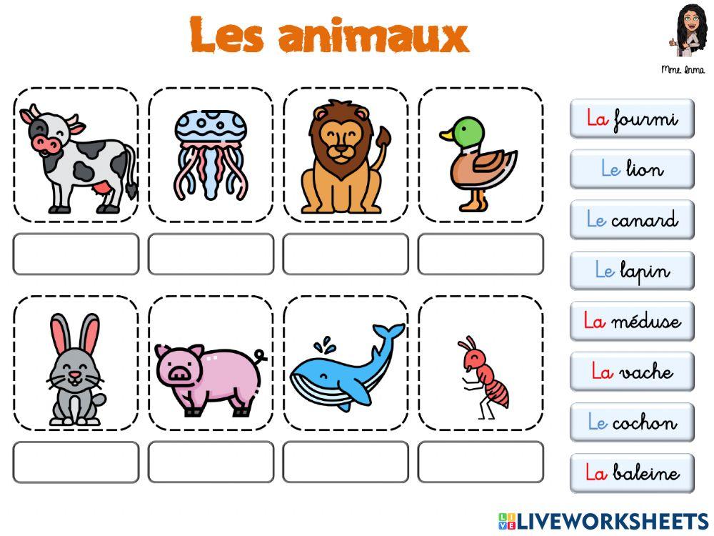 Les animaux (vocabulaire)