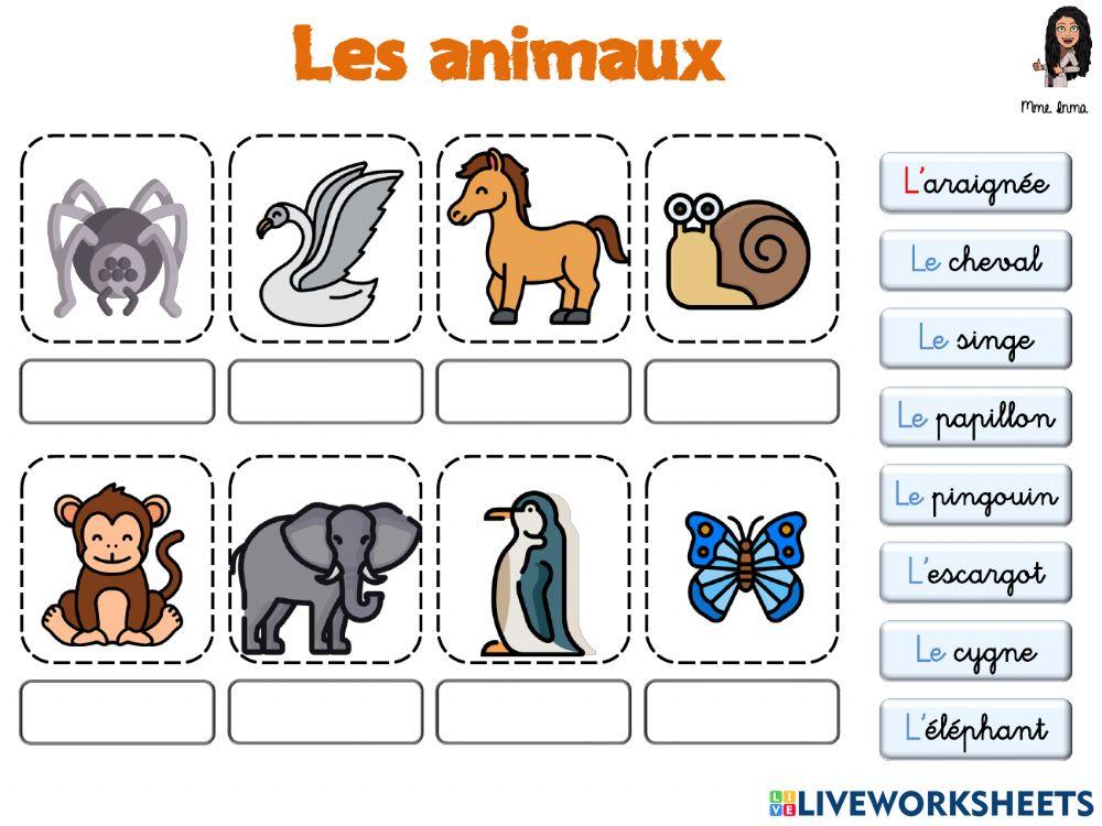 Les animaux (vocabulaire)