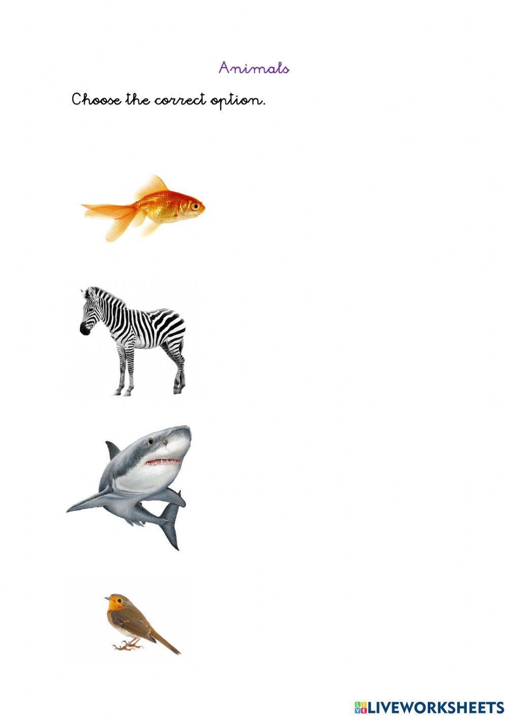 Where do animals live? interactive activity for 1º | Live Worksheets