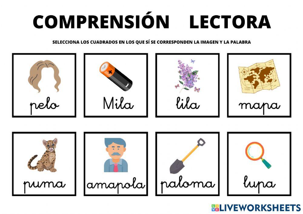 COMPRENSIÓN LECTORA -P,L,M-