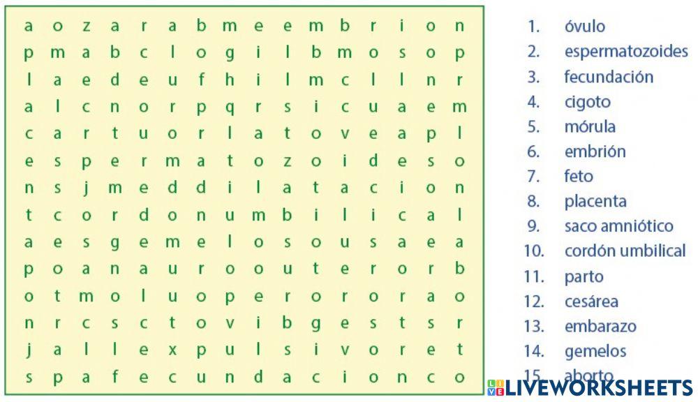 Sopa de letras de embarazo