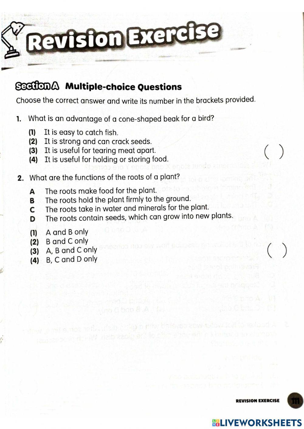 Science (Wednesday, May 10th, 2023) online exercise for | Live Worksheets