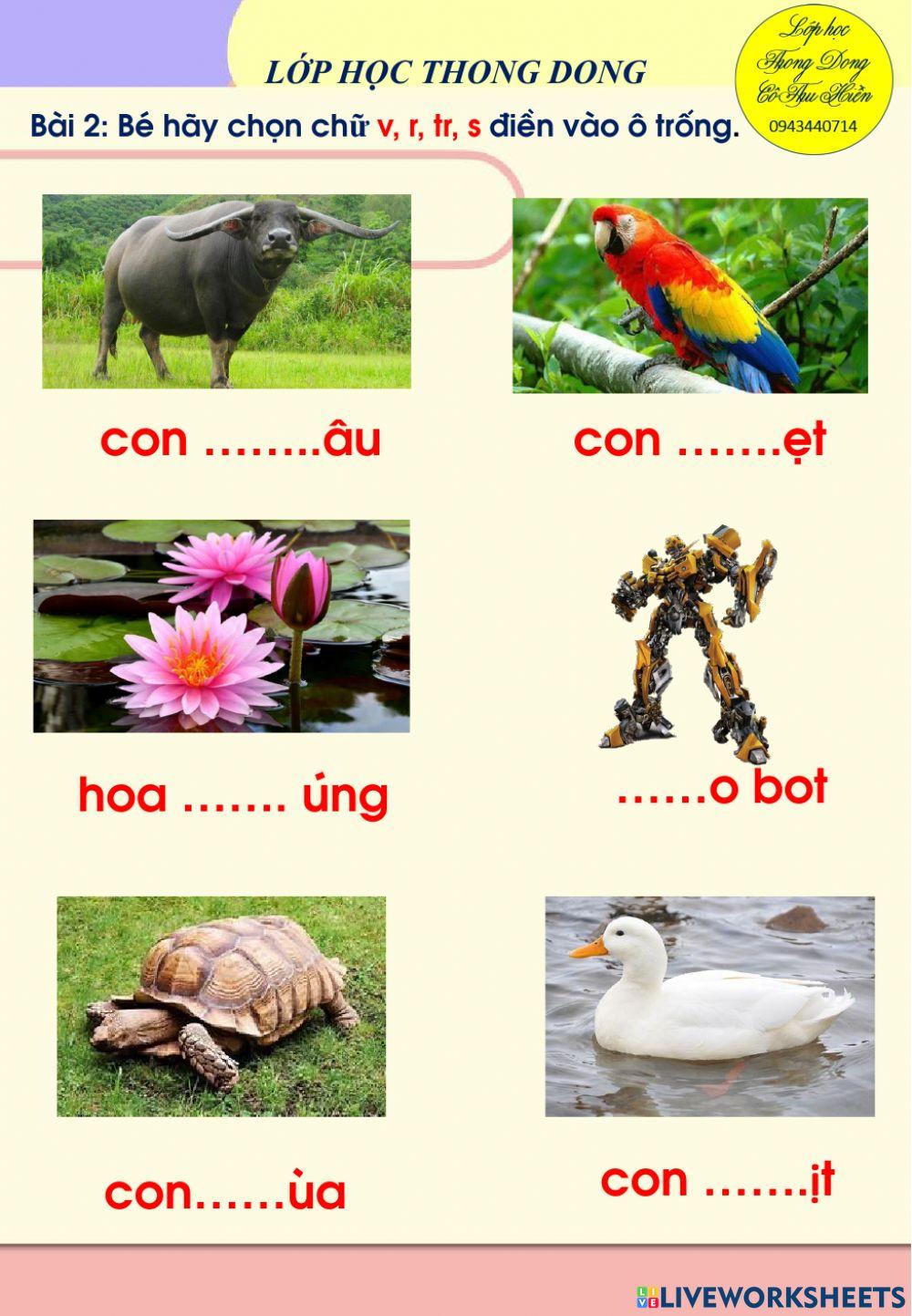 Ôn ghép vần s, tr, r, v