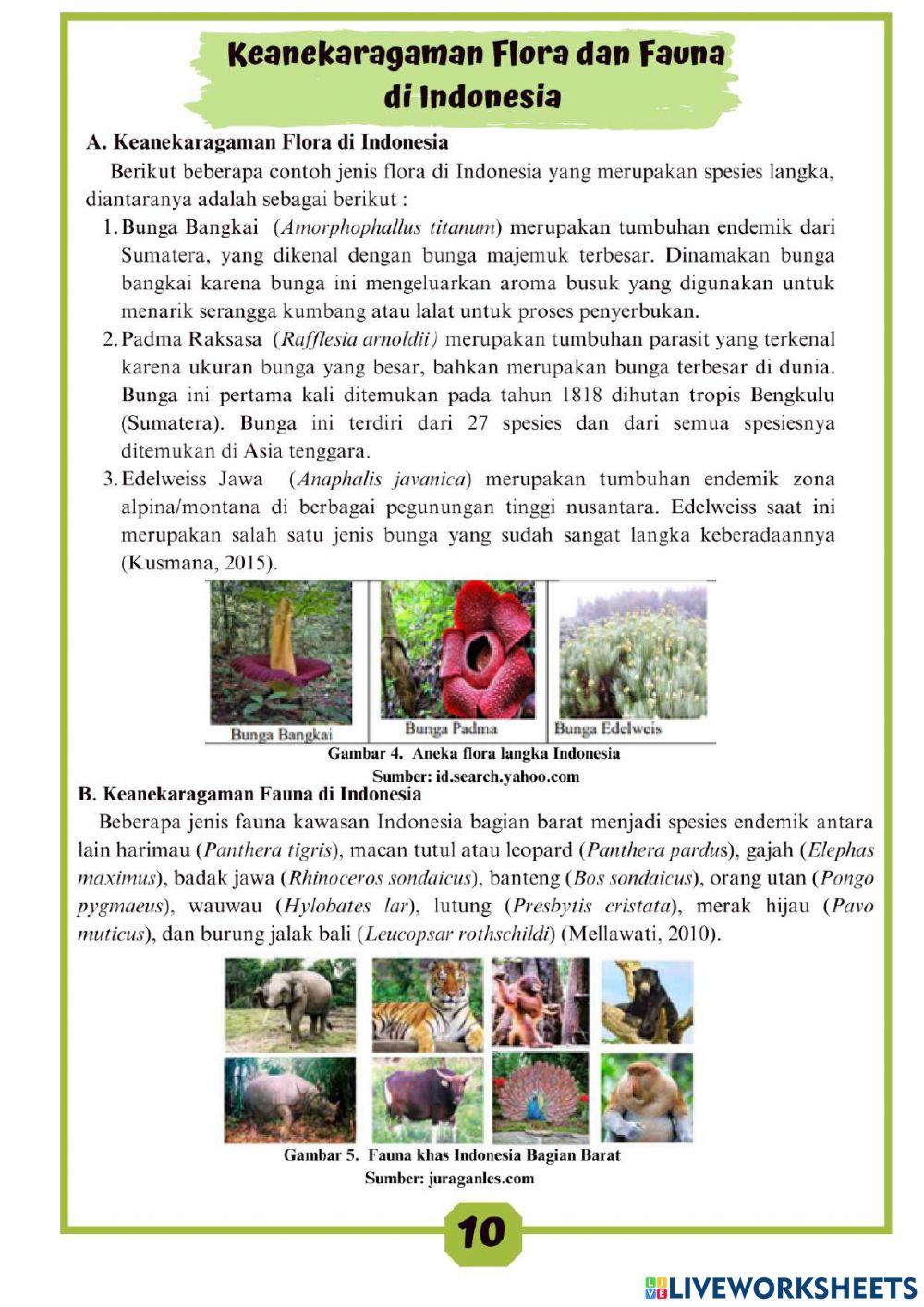 Keanekaragaman Hayati