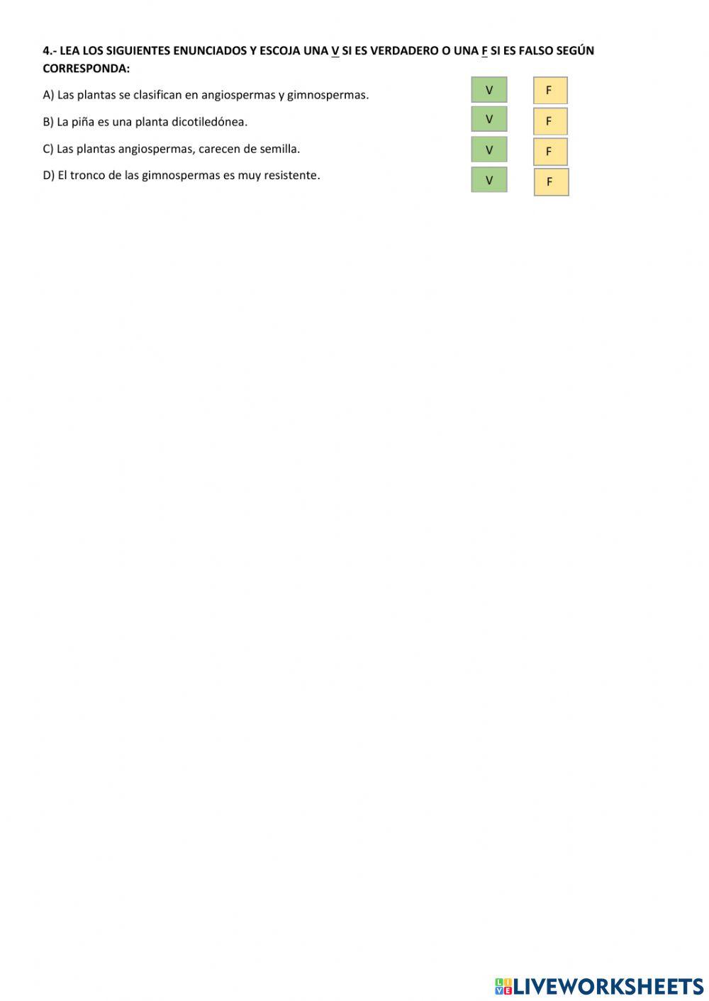 Plantas angiospermas y gimnospermas