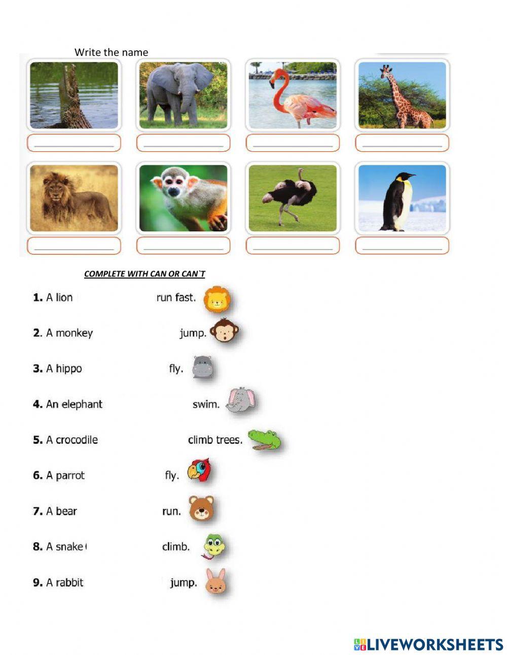 Revision we are heroes 2