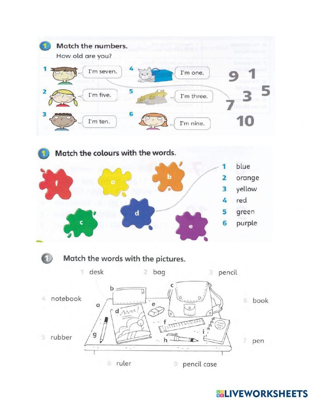 Super minds 1 Revision