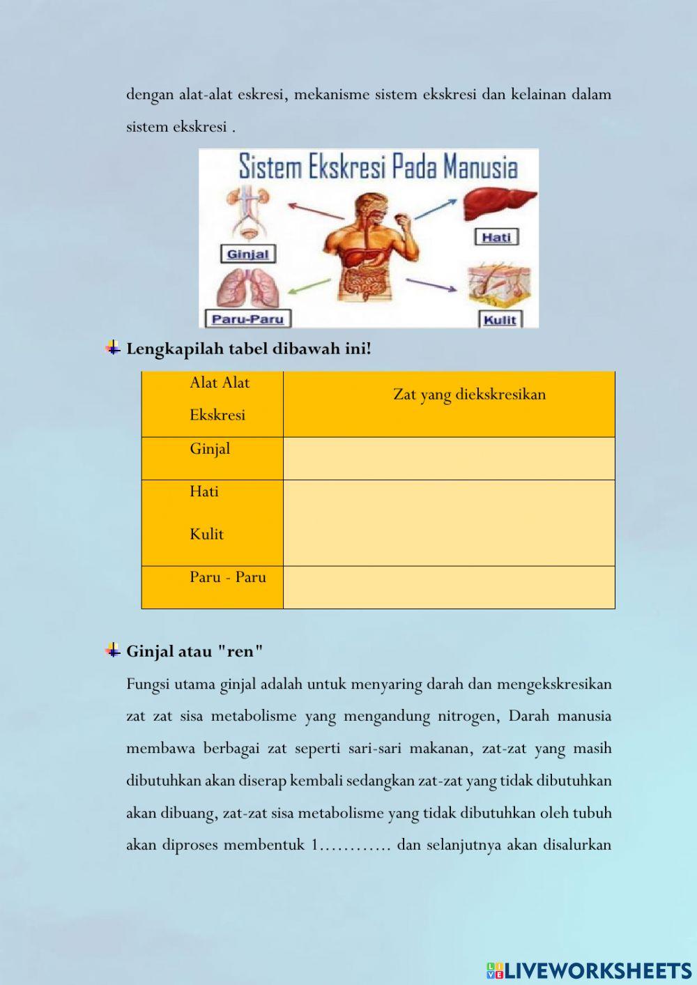 Lkpd sistem ekresi manusia