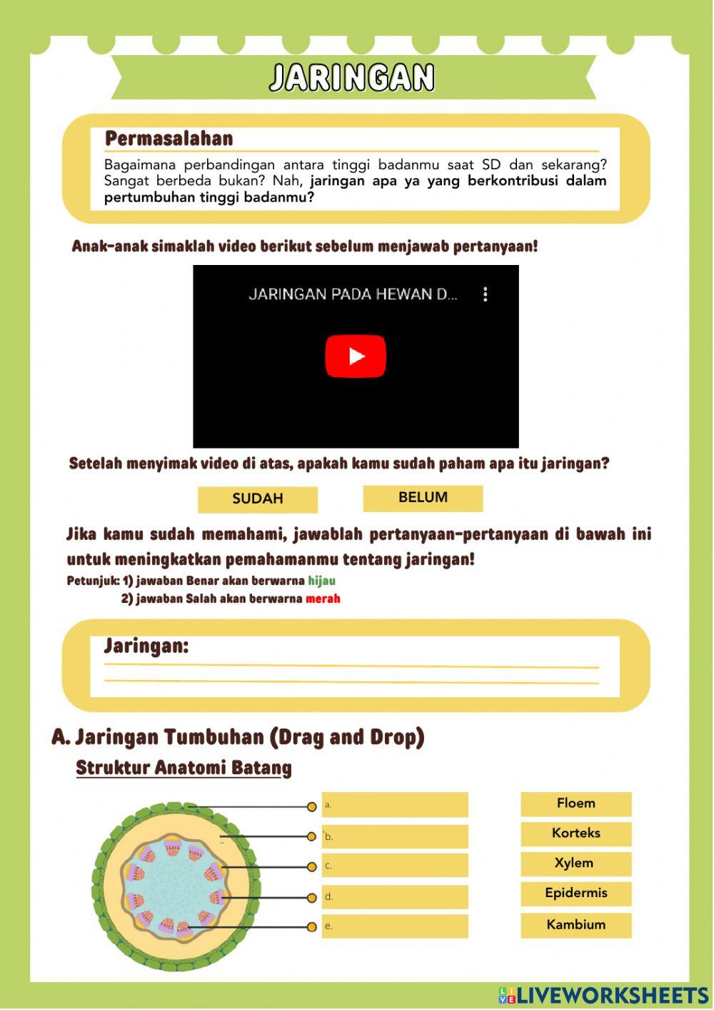 Jaringan hewan dan Tumbuhan Fix (2)