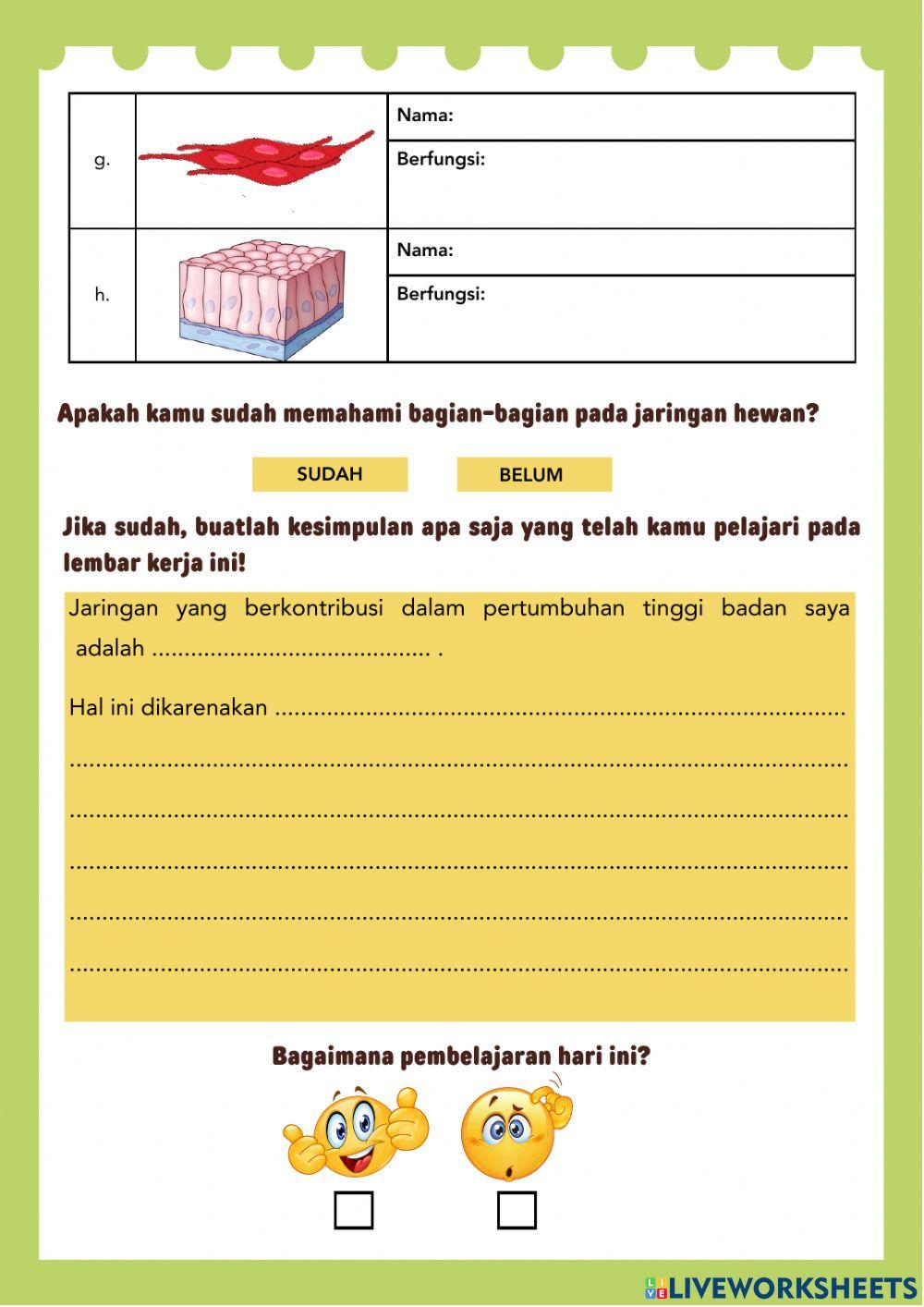 Jaringan hewan dan Tumbuhan Fix (2)