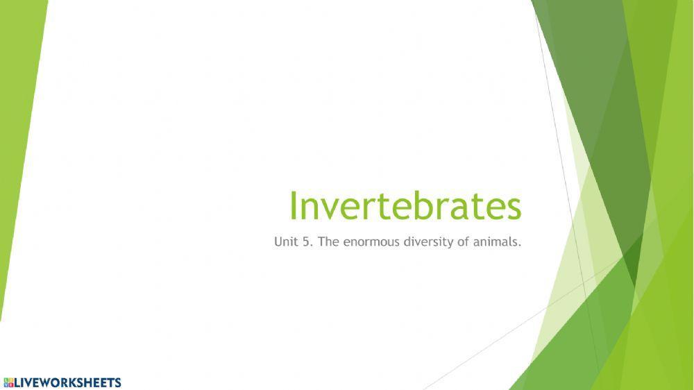 Invertebrates.Poriferans and cnidarians