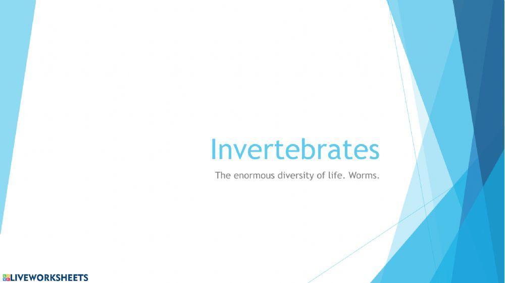 Invertebrates. Worms