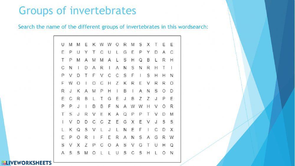 Invertebrates. Worms