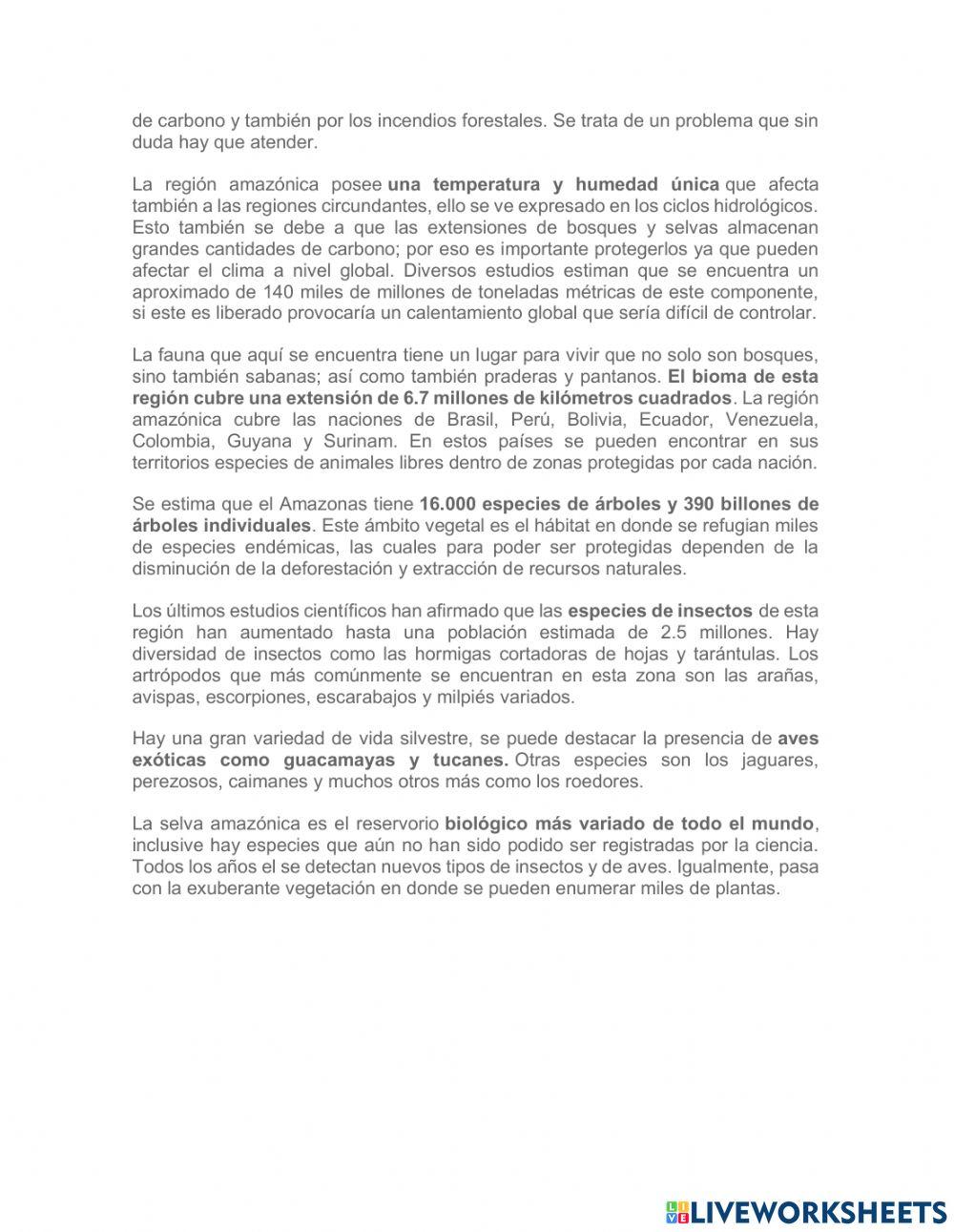 Region de la amazonia