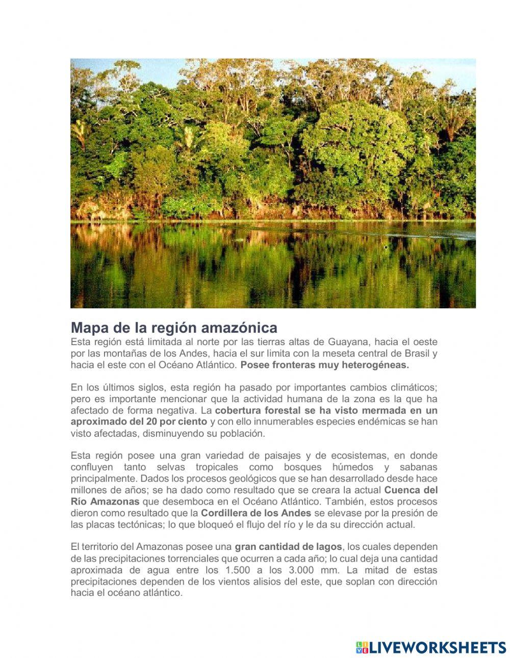 Region de la amazonia