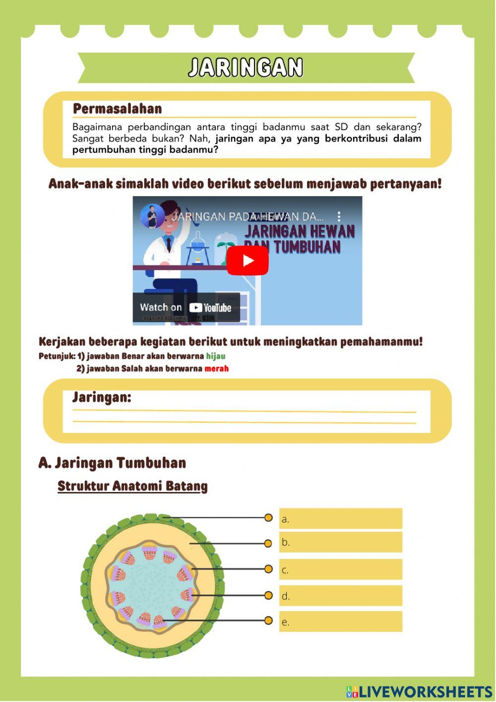 Jaringan Hewan dan Tumbuhan (1)
