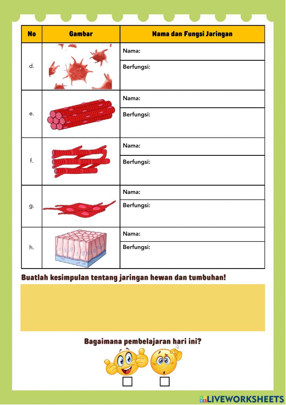 Jaringan Hewan dan Tumbuhan (1)