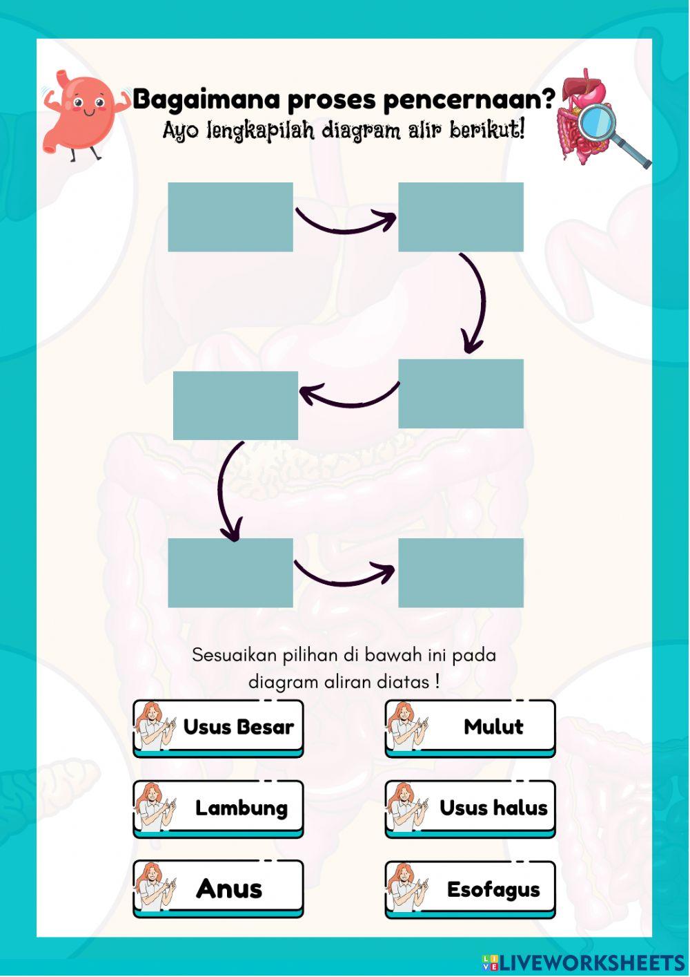 Sistem pencernaan makanan