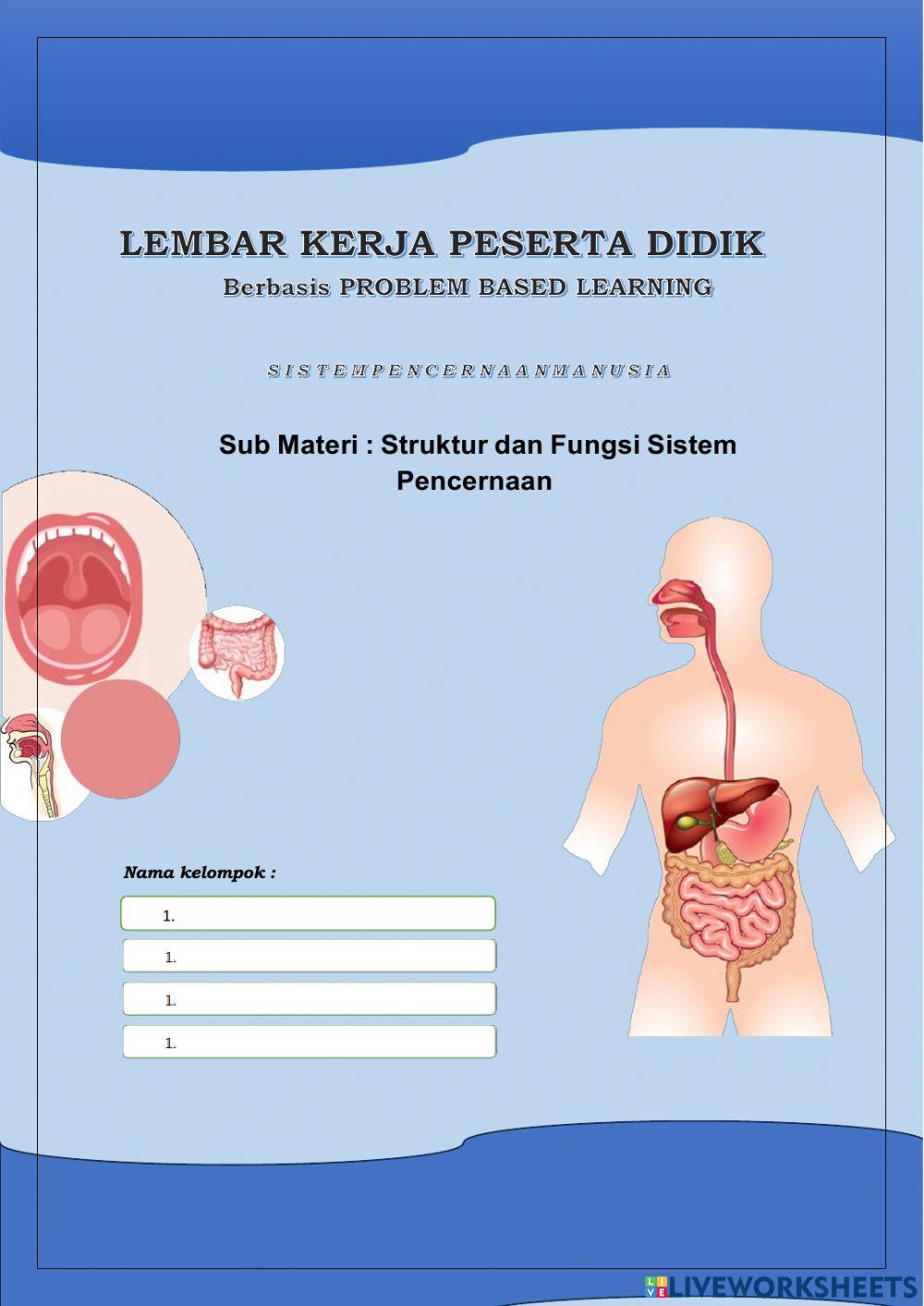 Struktur dan fungsi sistem pencernaan makanan pada manusia