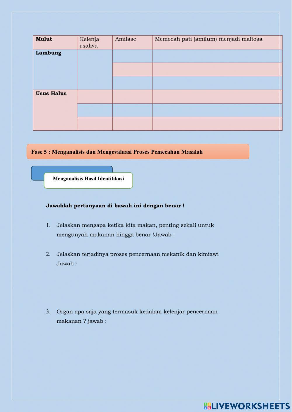 Struktur dan fungsi sistem pencernaan makanan pada manusia