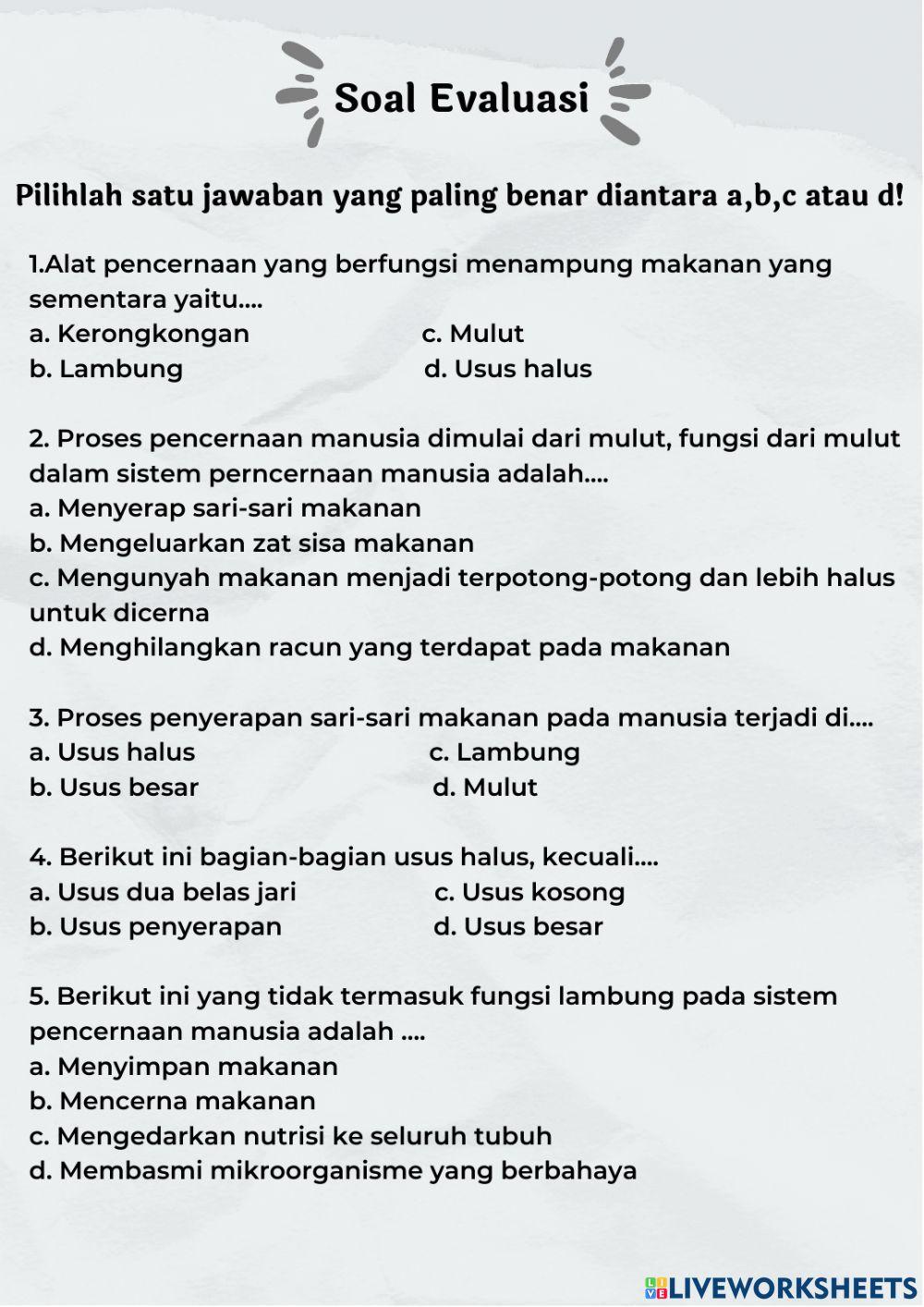 Sistem Pencernaan Manusia