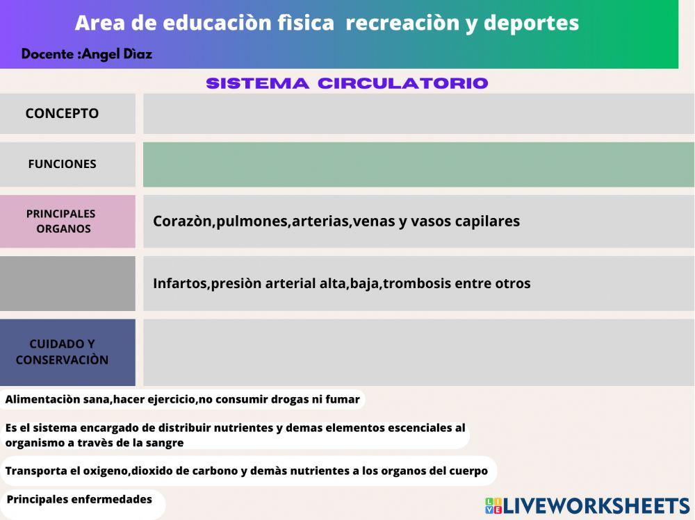 Sistema circulatorio