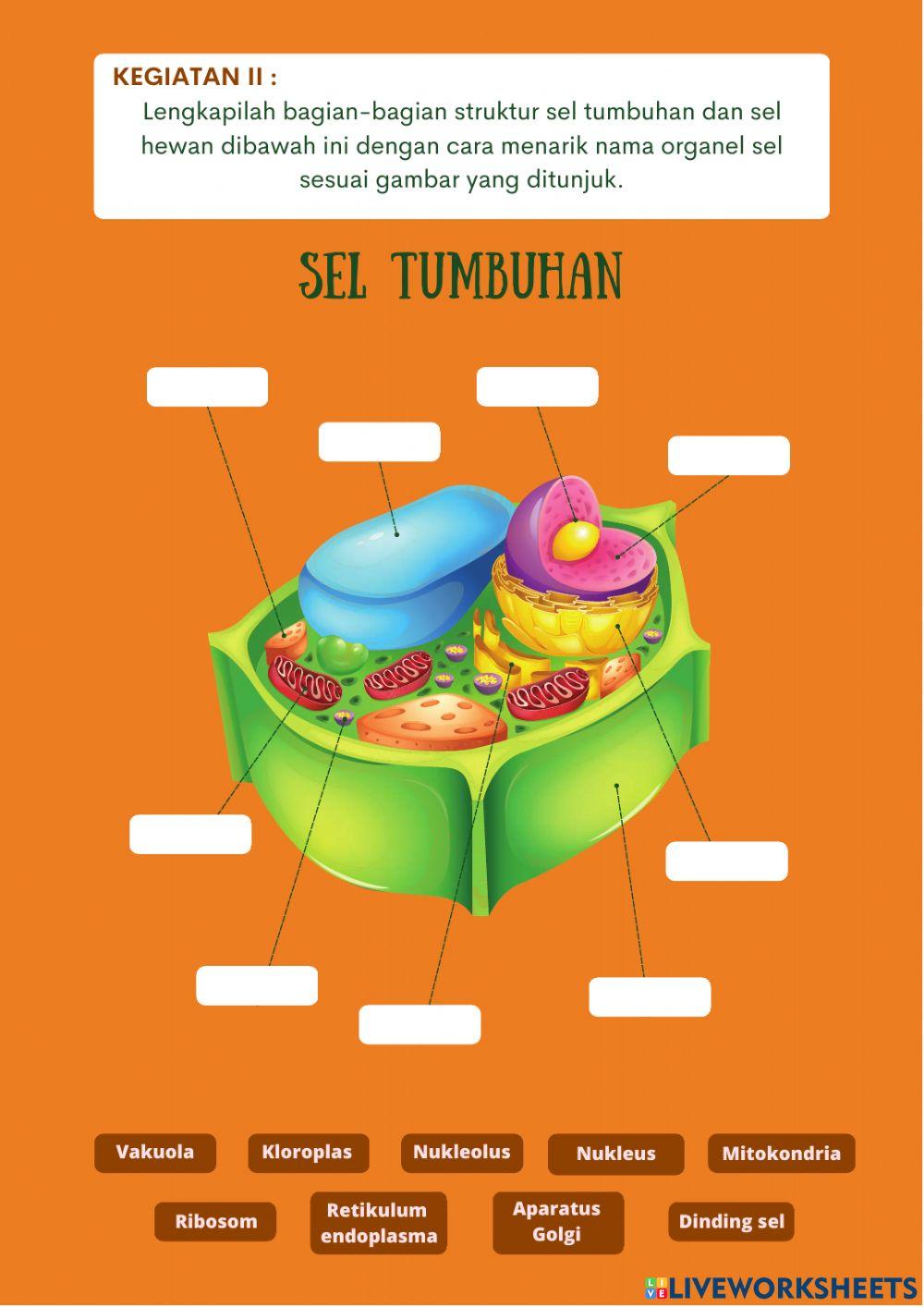 Lembar Kerja Peserta Didik (Sel)