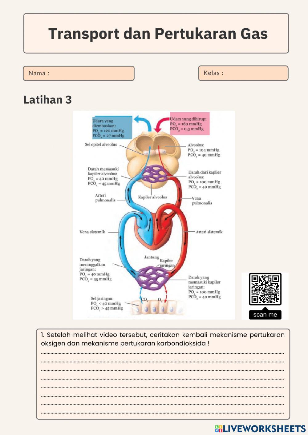 Transport dan Pertukaran Gas