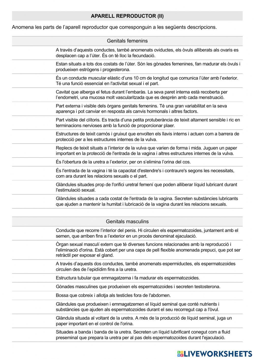 Aparell reproductor (II)