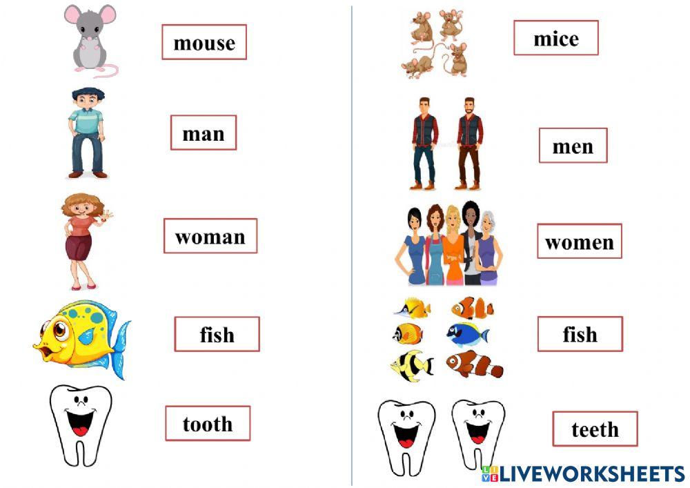 Topic - plural nouns