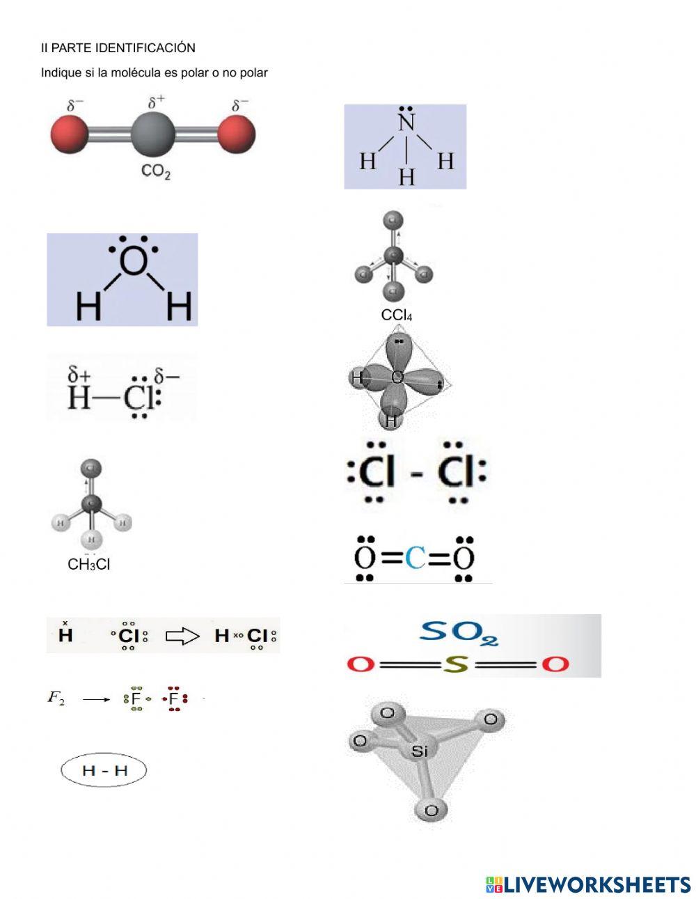 Practica II Examen I Periodo