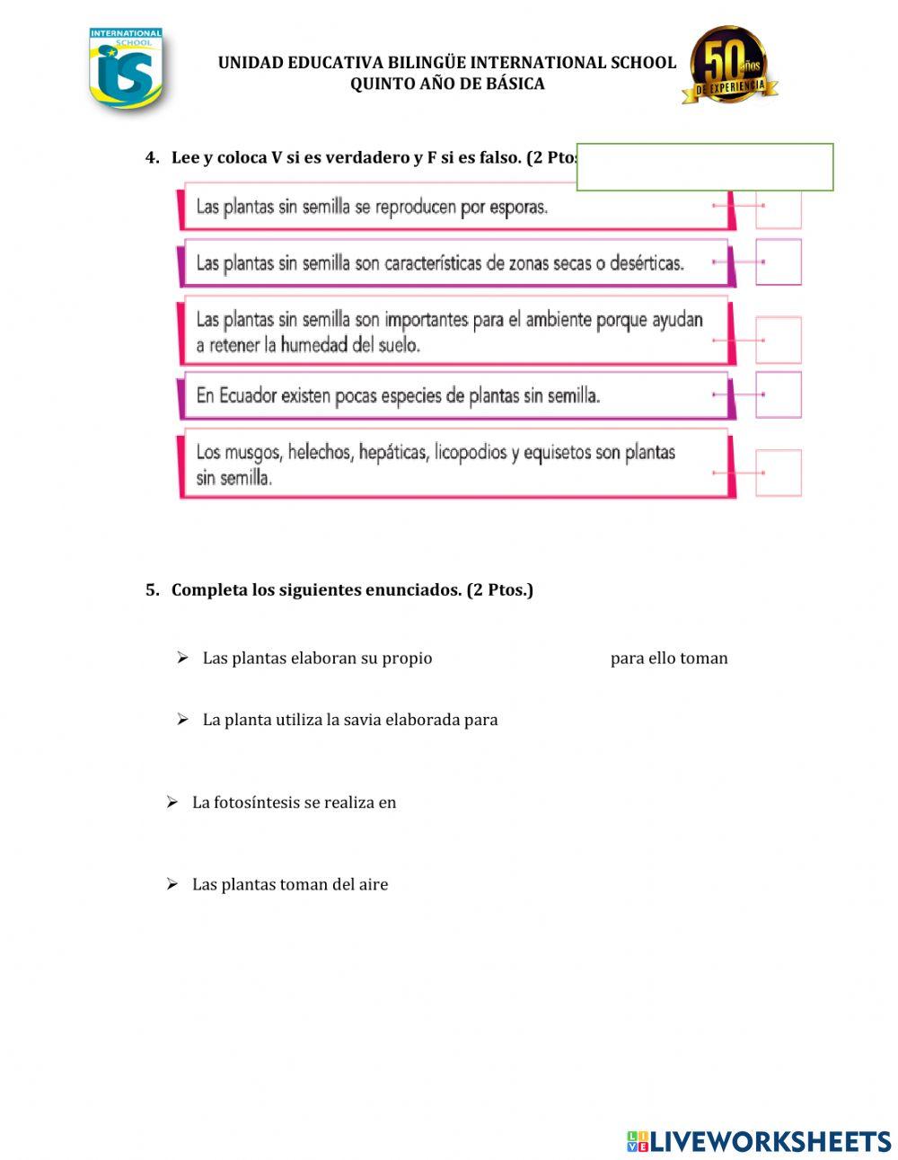 Evaluación primer parcial