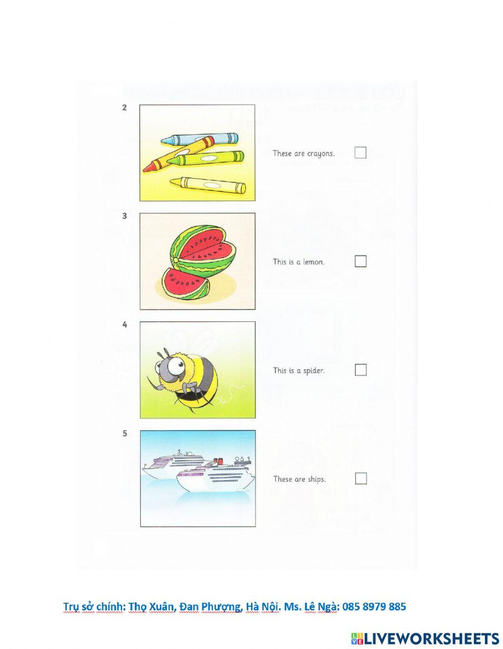 Lt Starters 1 - Test 3 - Reading and Writing