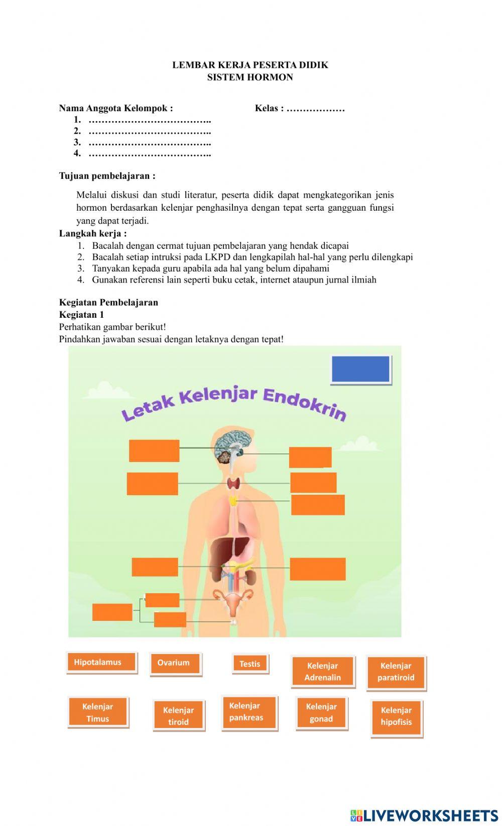LKPD Sistem Endokrin