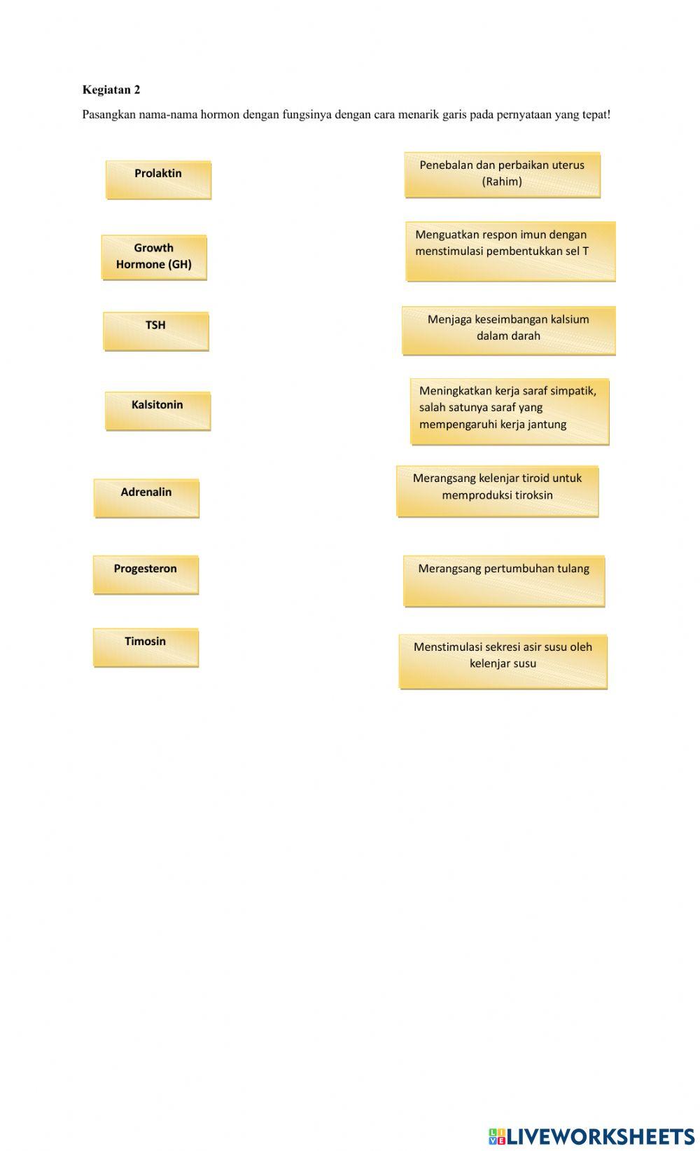 LKPD Sistem Endokrin