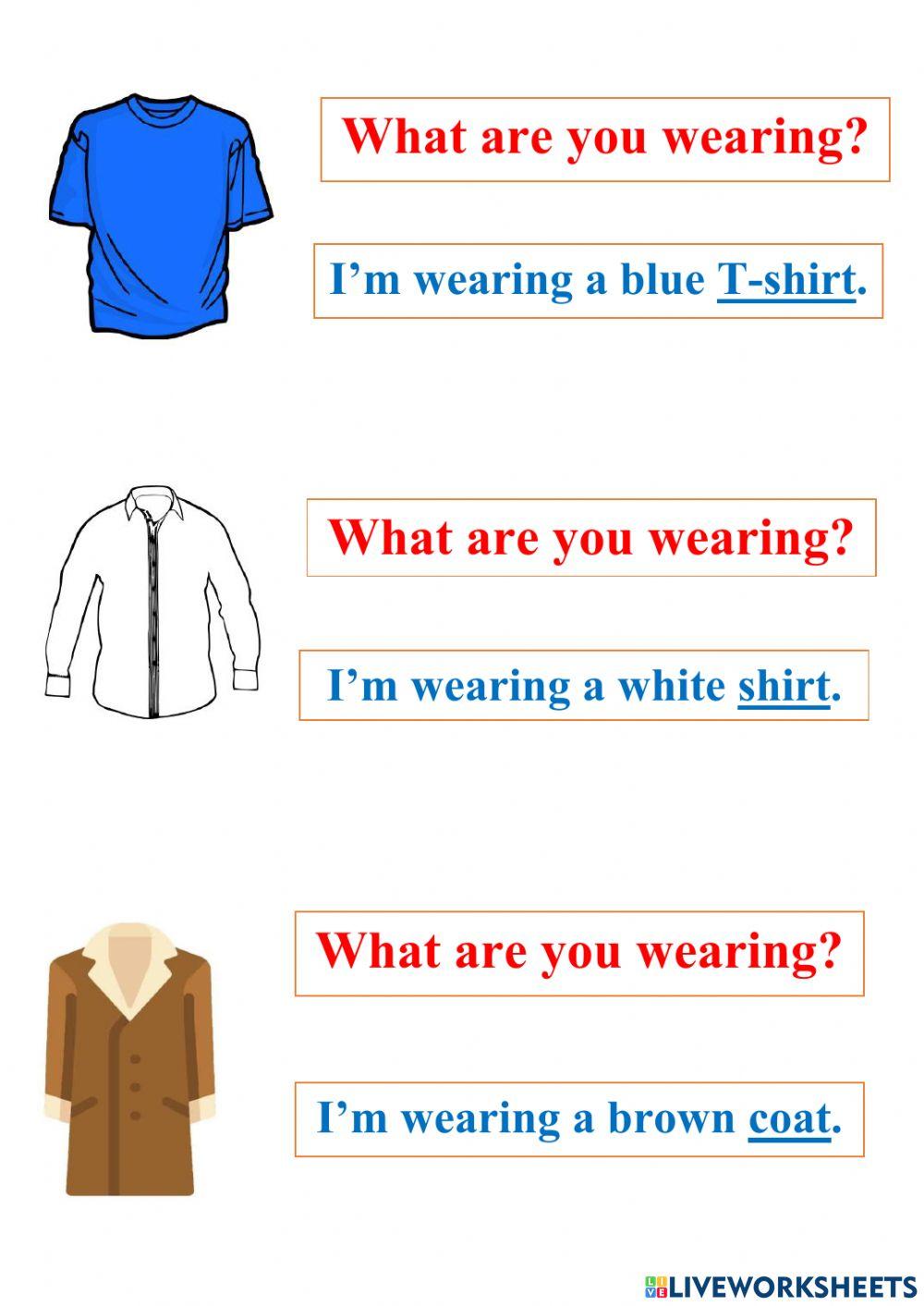 What are you wearing - what is he-she wearing