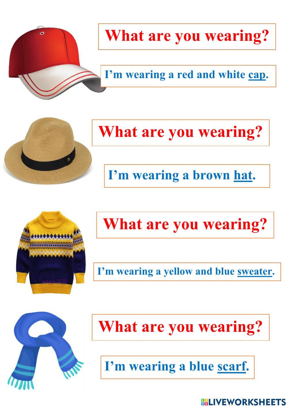 What are you wearing - what is he-she wearing