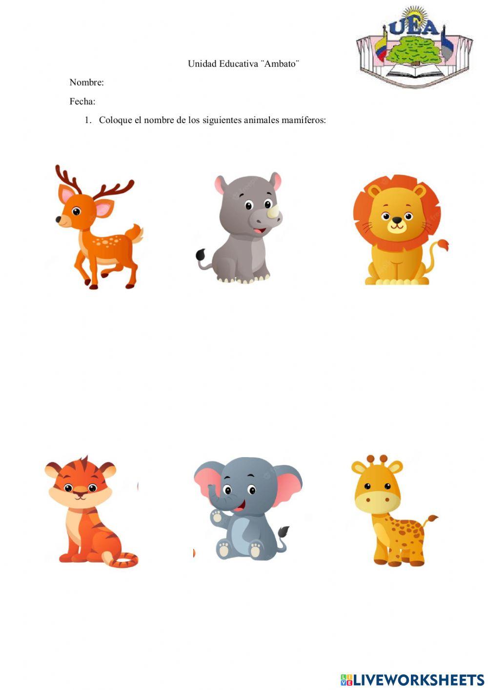 Actividad de animales mamiferos