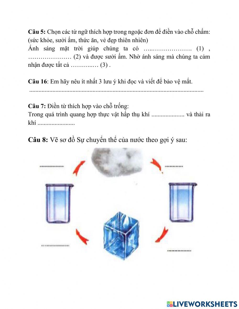 Bài kiểm tra khoa học 4