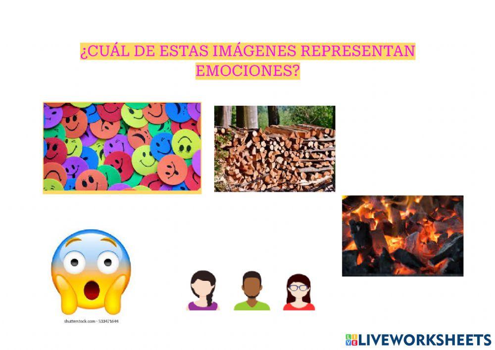 Seleccionar la corecta