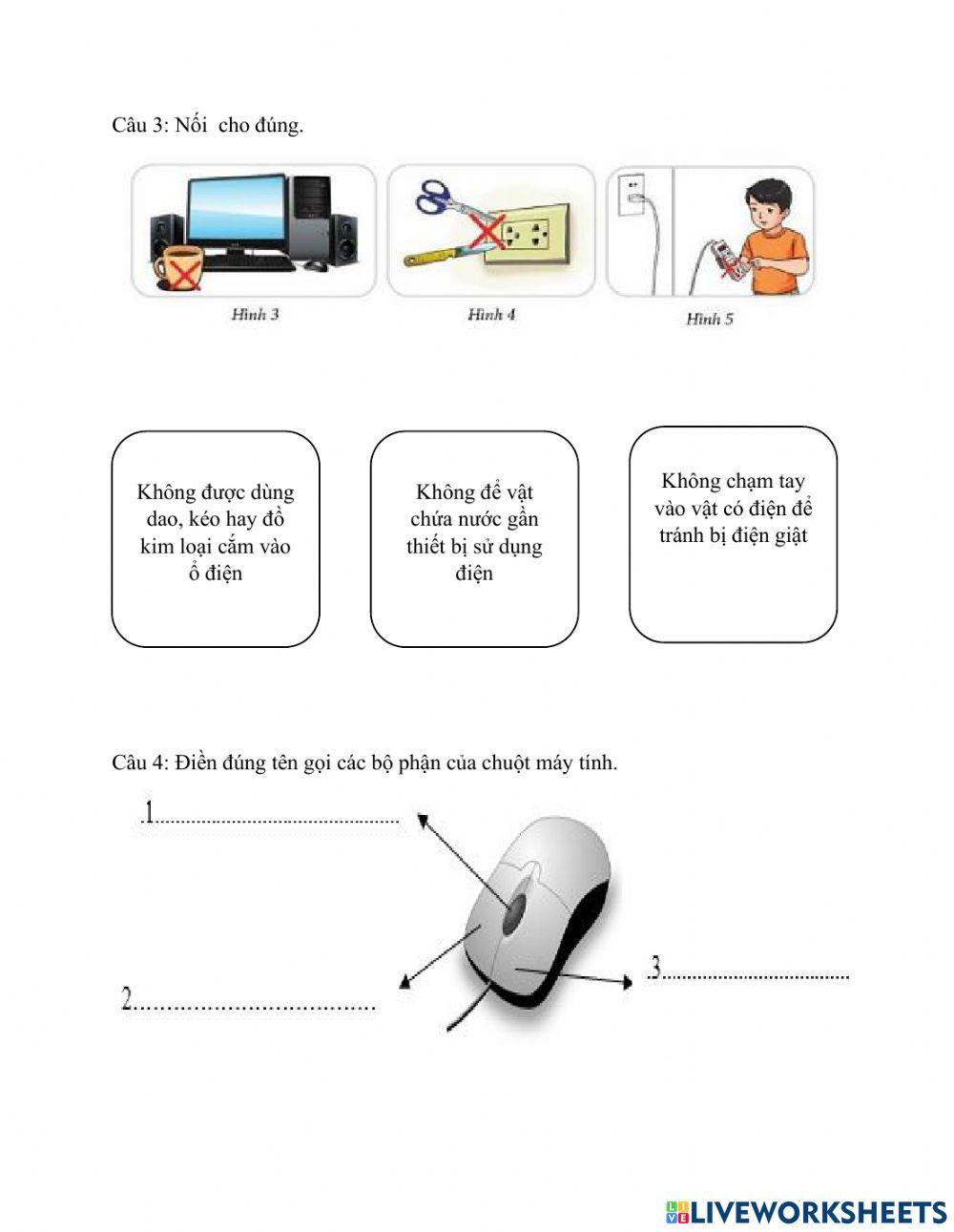 Bài kiểm tra tin học lớp 3