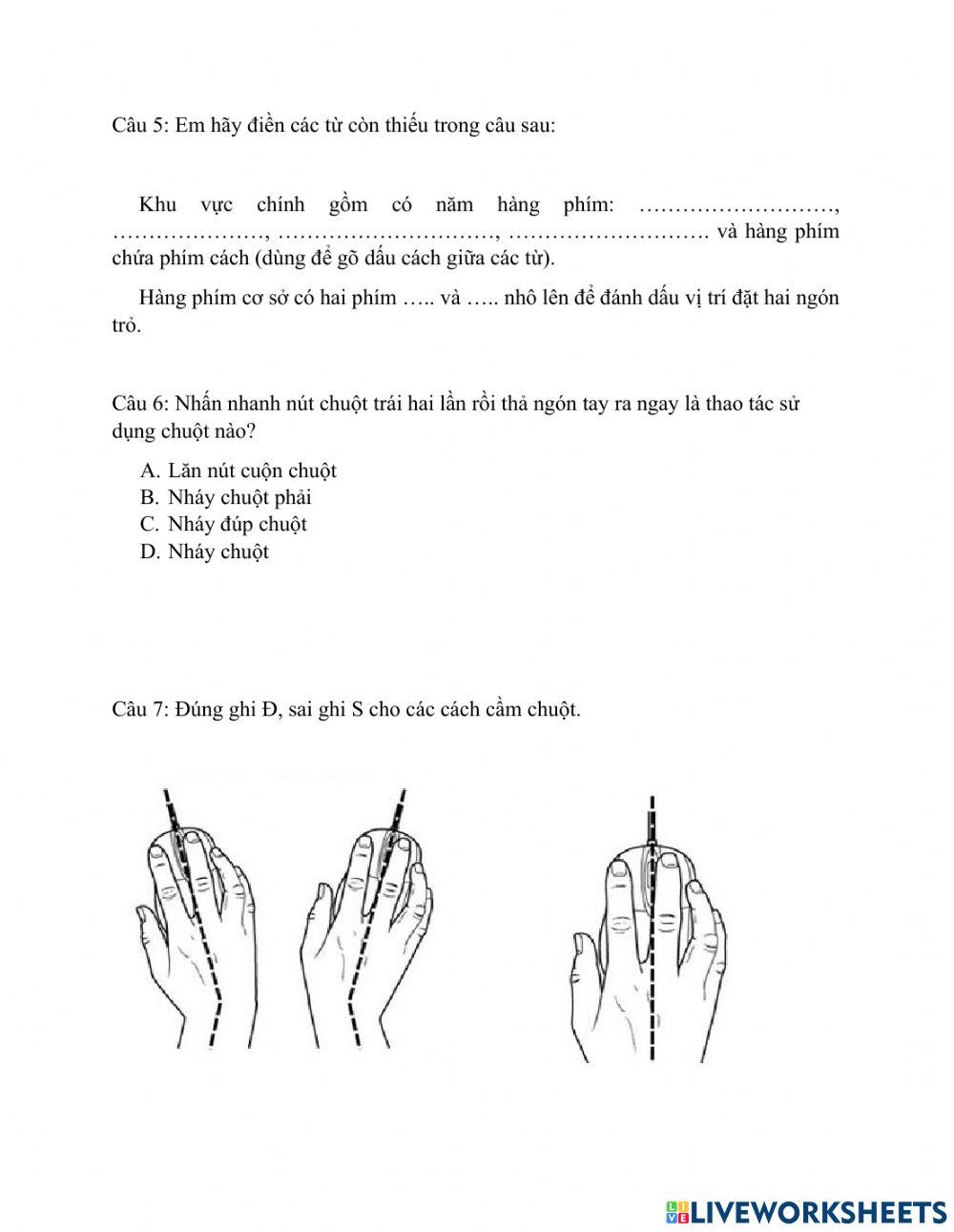 Bài kiểm tra tin học lớp 3