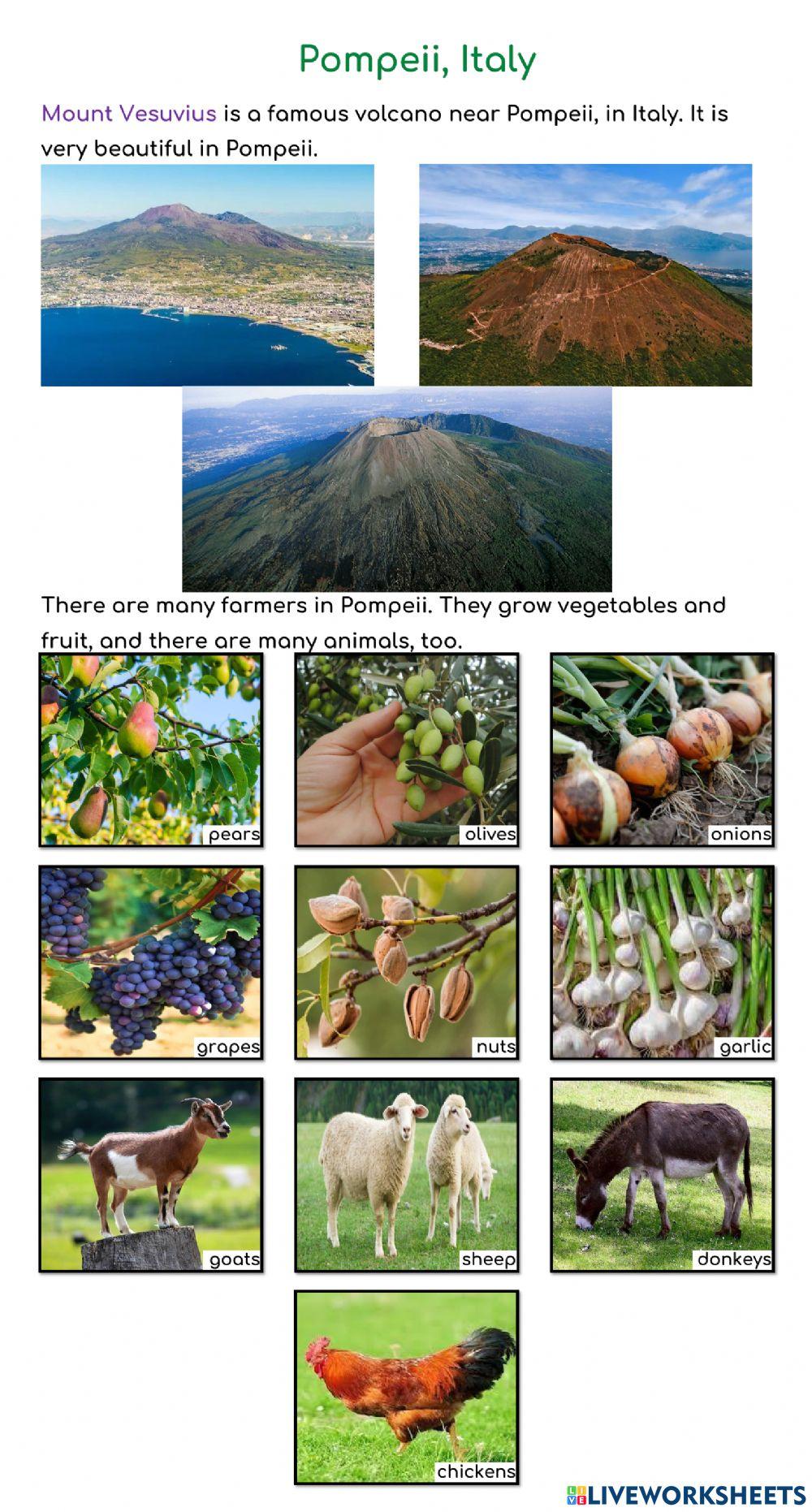 YiXian Summer Camp - Volcano: Pompeii