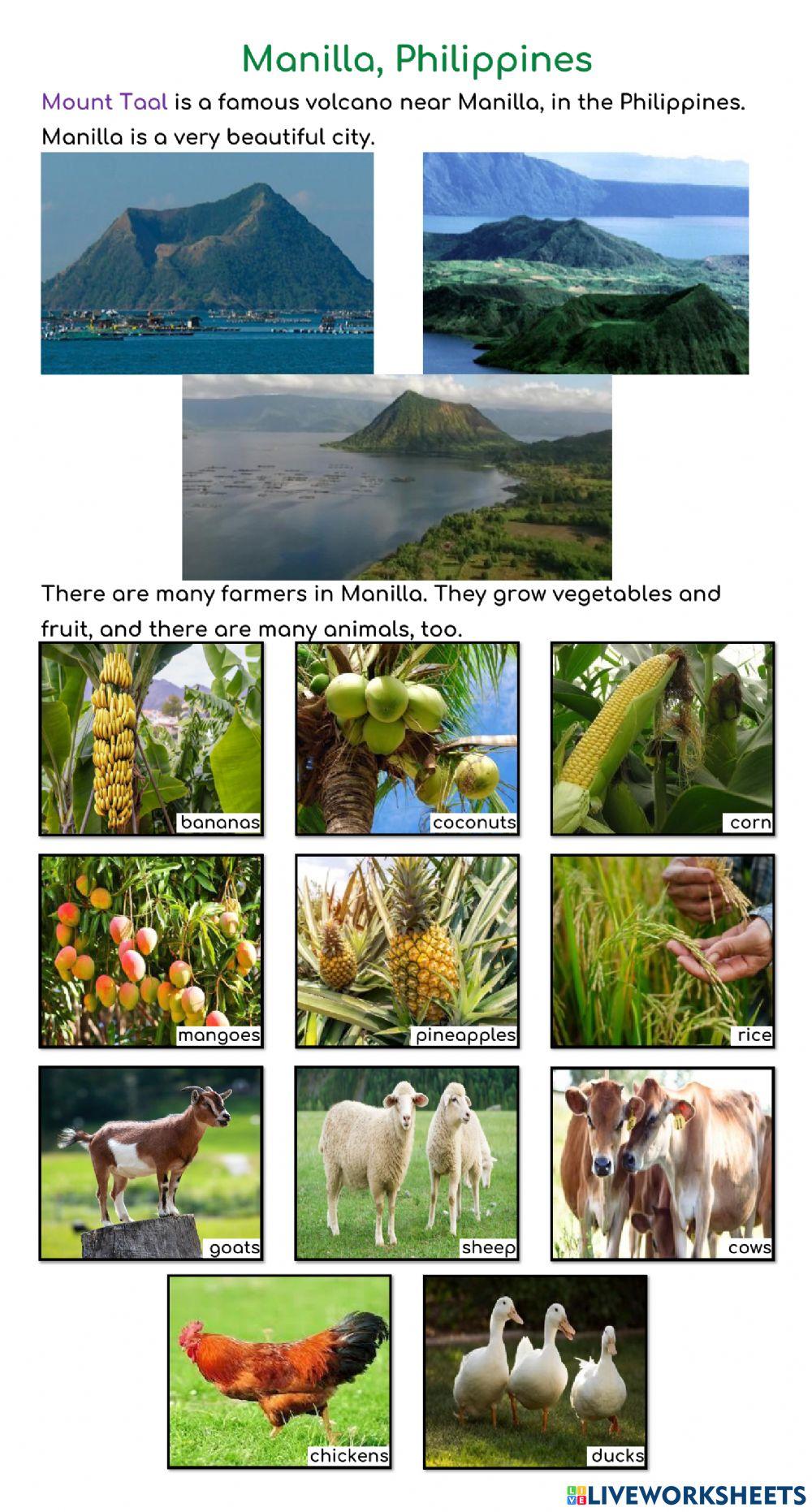 YiXian Summer Camp - Volcano: Manilla