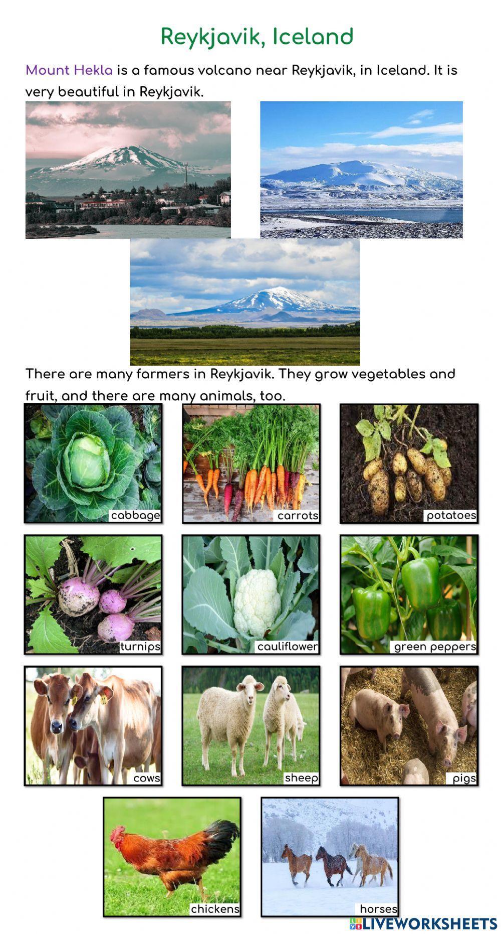 YiXian Summer Camp - Volcano: Reykjavik