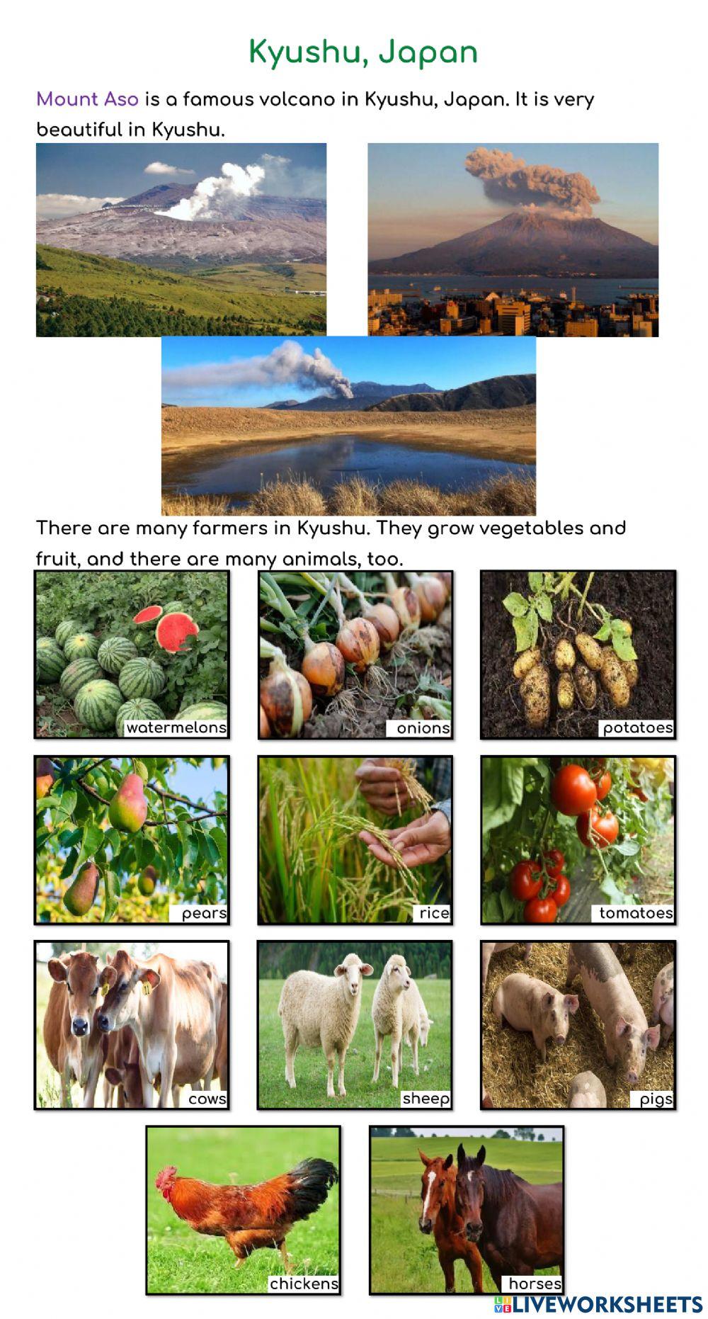 YiXian Summer Camp - Volcano: Kyushu